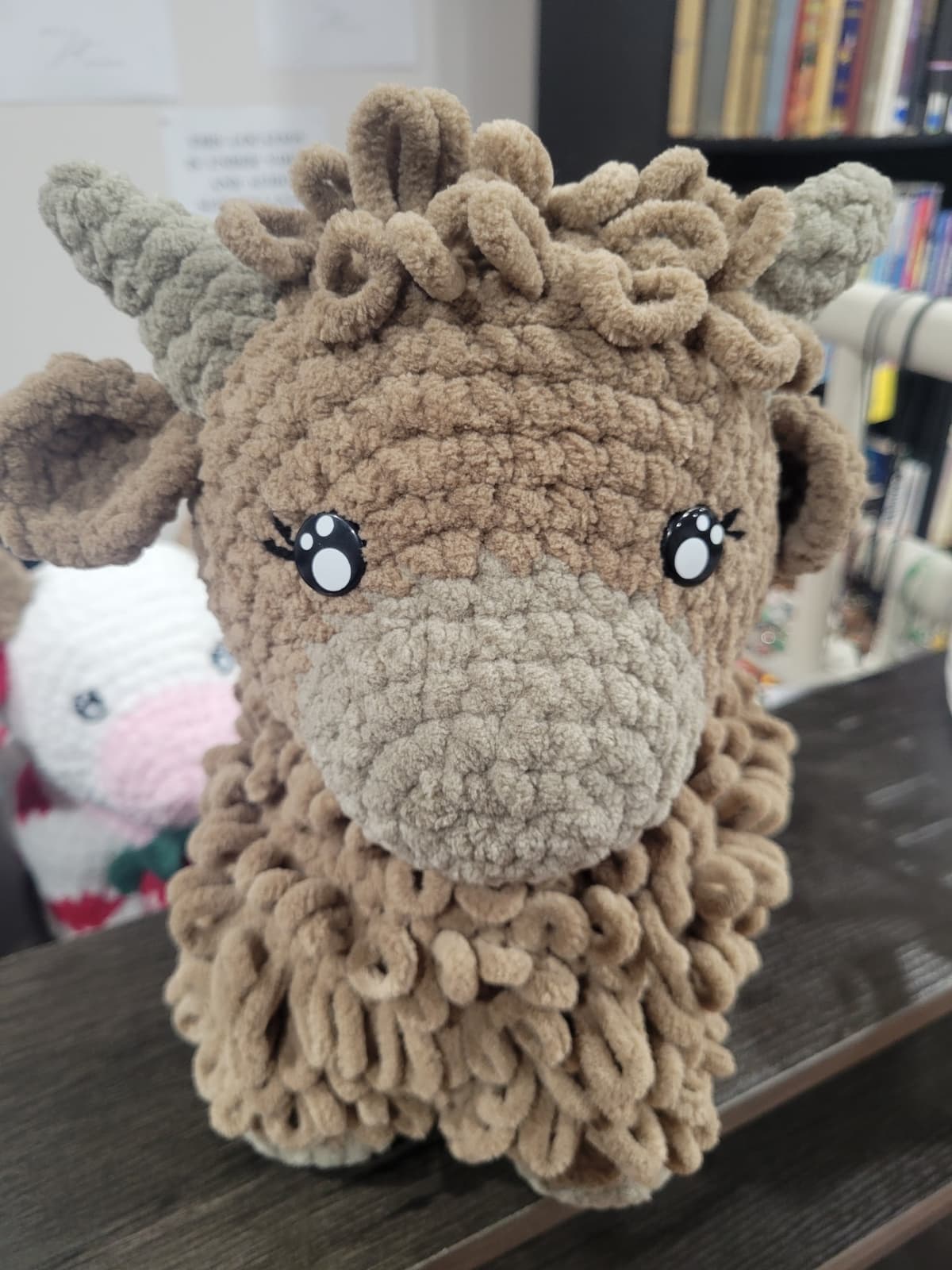 Highland Cow